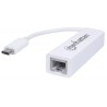 Tarjeta de Red Manhattan 507585 de 1 Puerto 100Mbit/S USB-C Blanco