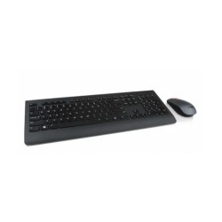 Lenovo Professional Combo - Juego de teclado y ratón - inalámbrico - 2.4 GHz - español (Latinoamérica) - para 100e Chromebook (2